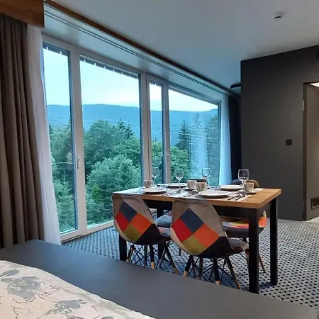 公寓 Alpina Spindl U Hromovky In&out *