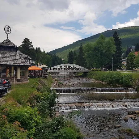 Alpina Spindl U Hromovky In&out Апартаменты