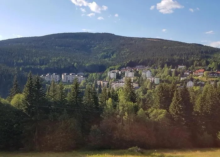 Alpina Spindl U Hromovky In&out Apartment