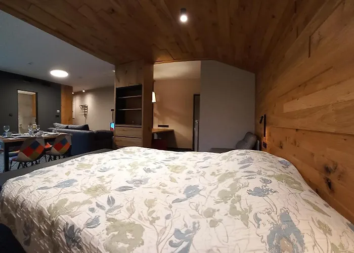 公寓 Alpina Spindl U Hromovky In&out Špindlerŭv Mlýn